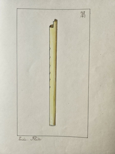 Illustration-instrument-de-musique-1