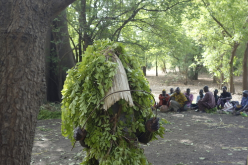 Masques de feuilles en pays bwaba