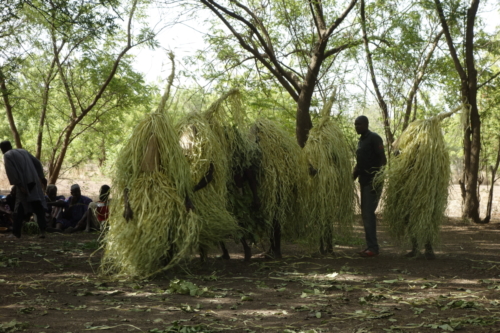 Masques de feuilles en pays bwaba