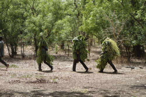 Masques de feuilles en pays bwaba