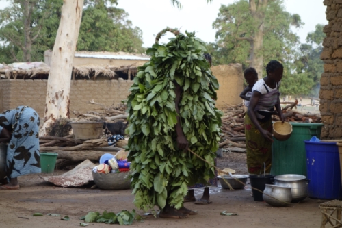 Masques de feuilles en pays bwaba