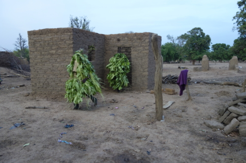 Masques de feuilles en pays bwaba