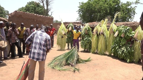 Masques de feuilles en pays bwaba
