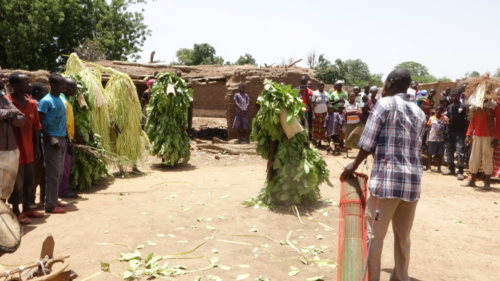 Masques de feuilles en pays bwaba