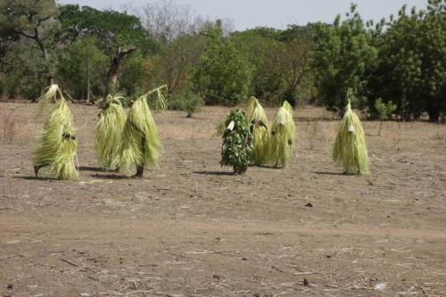 Masques de feuilles en pays bwaba