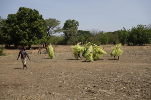 Masques de feuilles en pays bwaba