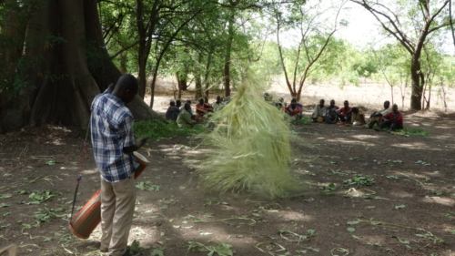 Masques de feuilles en pays bwaba