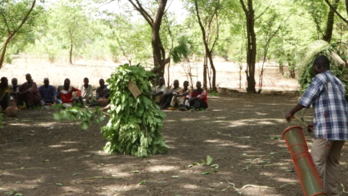 Masques de feuilles en pays bwaba