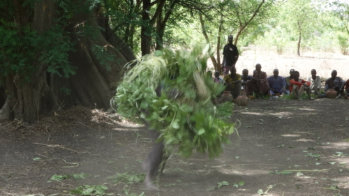 Masques de feuilles en pays bwaba